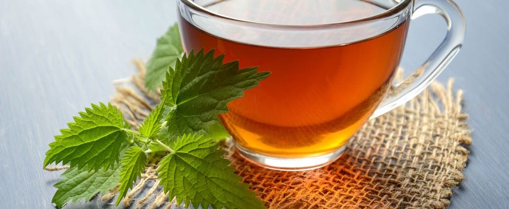 Cup of tea with mint